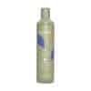 ECHOS NO YELLOW SHAMPOO ANTIGIALLO 300ML