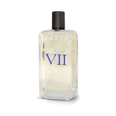 RAPTUS PARFUM VII COSTUME NATIONAL 100ML